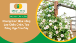 Khung Giàn Hoa Hồng Leo Chắc Chắn, Tạo Dáng đẹp Cho Cây