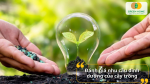 Thành phần cơ bản của các loại phân bón thường chứa Đạm (N), Lân (P), Kali (Kali)