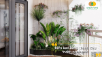 Biến ban công thành khu vườn xanh mát