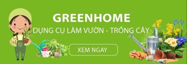 Greenhome - Giải pháp tuyệt vời để làm vườn dễ dàng