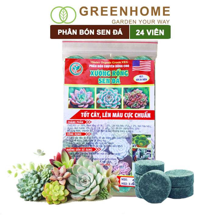 Phân bón sen đá - Siêu thị làm vườn GreenhomeSiêu thị làm vườn Greenhome