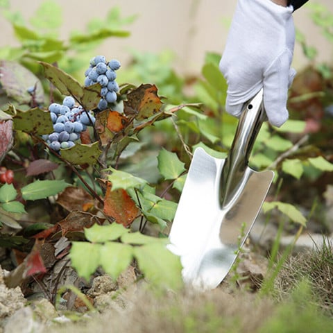 Bộ dụng cụ làm vườn chuyên nghiệp gồm những gì và cách dùng hiệu quả