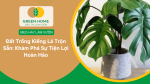 Đất Trồng Kiểng Lá Trộn Sẵn
