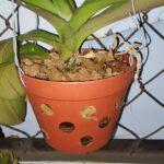 Ảnh khách chụp sản phẩm