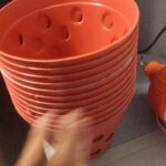Ảnh khách chụp sản phẩm