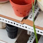 Ảnh khách chụp sản phẩm