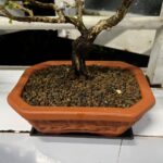 Ảnh khách chụp sản phẩm