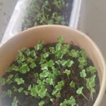 Ảnh khách chụp sản phẩm