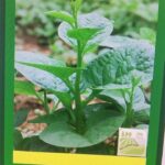 Ảnh khách chụp sản phẩm