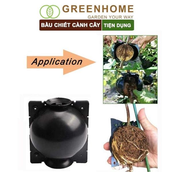 Bầu chiết cành cây, tăng khả năng ra rễ, chống úng cành chiết, tái sử dụng nhiều lần, nhiều kích thước