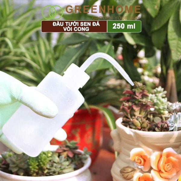 Bình tưới vòi cong, 250ml, phù hợp cho sen đá, xương rồng, tiểu cảnh mini |Greenhome