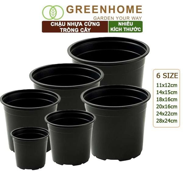 Chậu nhựa trồng cây, đa dạng kích thước, nhựa cứng, thoát nước tốt, trồng cây, hoa, kiểng lá |Greenhome