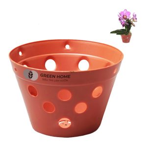Chậu Trồng Lan, R15xC10cm, Nhựa Màu Gốm, Bền, Đẹp, Chống Rơi Vỡ, Thoáng Rễ, Giá Thành Tốt