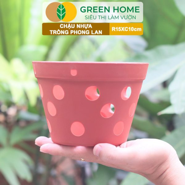 Chậu Nhựa Trồng Lan, R15xC10cm
