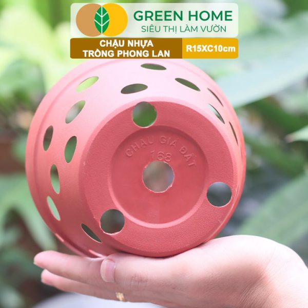 Chậu Nhựa Trồng Lan, R15xC10cm