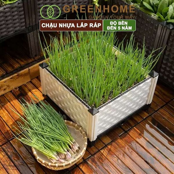 Chậu nhựa lắp ráp, trồng hoa hồng, cây leo, rau, củ, quả, độ bền 5 năm, nhiều kích thước lựa chọn |Greenhome