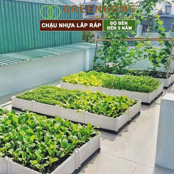 Chậu nhựa lắp ráp, trồng hoa hồng, cây leo, rau, củ, quả, độ bền 5 năm, nhiều kích thước lựa chọn |Greenhome