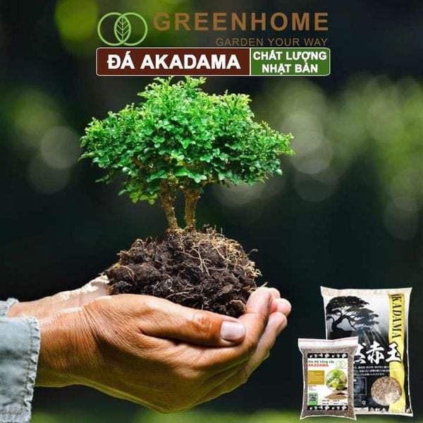 Đất akadama Greenhome, bao 1kg, giá thể bonsai, sen đá, phân nền thủy sinh, bonsai nhiều size lựa chọn