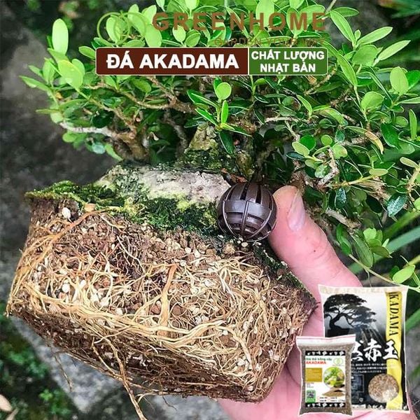 Đất akadama Greenhome, bao 1kg, giá thể bonsai, sen đá, phân nền thủy sinh, bonsai nhiều size lựa chọn