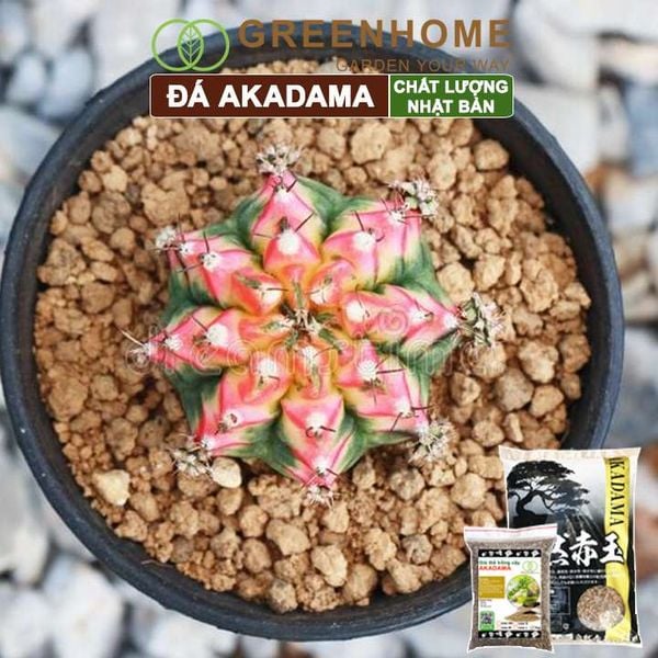 Đất akadama Greenhome, bao 1kg, giá thể bonsai, sen đá, phân nền thủy sinh, bonsai nhiều size lựa chọn
