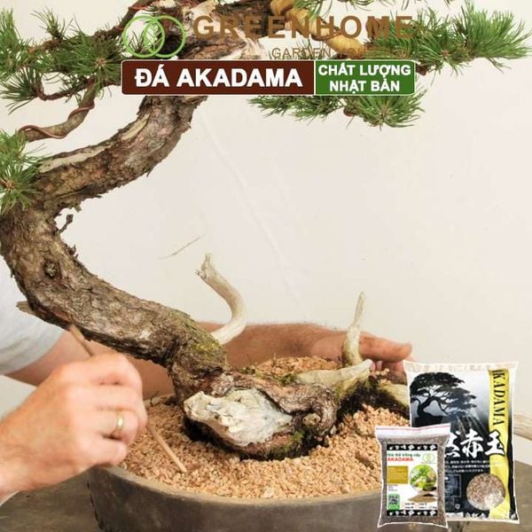Đất akadama Greenhome, bao 1kg, giá thể bonsai, sen đá, phân nền thủy sinh, bonsai nhiều size lựa chọn