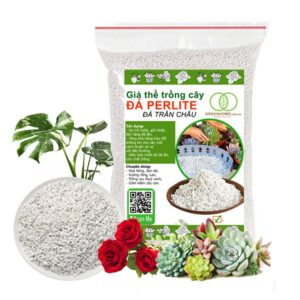 Đá Perlite