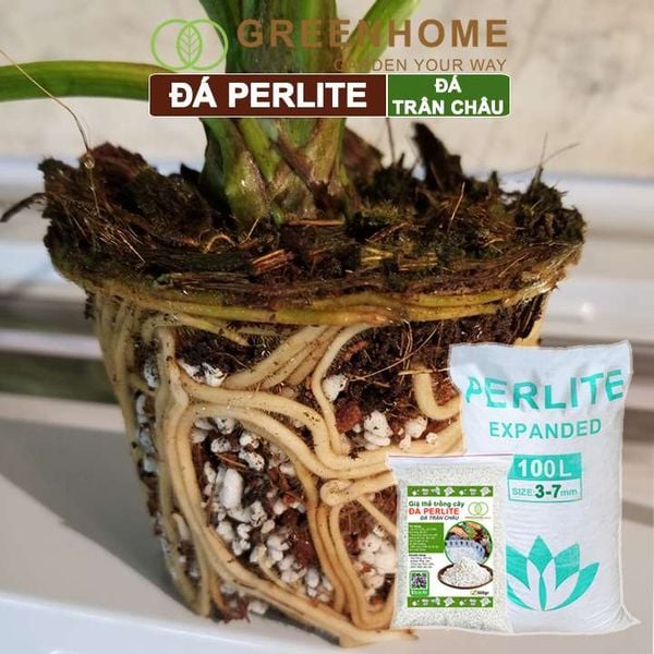 Đá Perlite, bao 500gr, đá trân châu trồng hồng, sen đá, thuỷ canh giàu khoáng chất, tăng độ tơi xốp trong đất |Greenhome