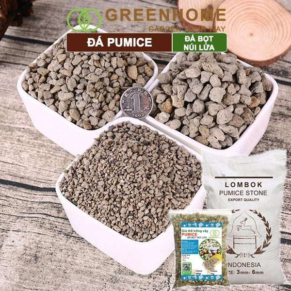 Đá Pumice size 5-8mm, bao 500gr, đá bọt núi lửa, lót chậu nhỏ, trộn đất trồng sen đá xương rồng, trồng Lan |Greenhome