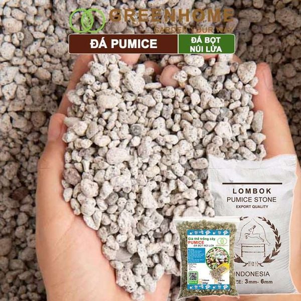 Đá Pumice size 5-8mm, bao 500gr, đá bọt núi lửa, lót chậu nhỏ, trộn đất trồng sen đá xương rồng, trồng Lan |Greenhome