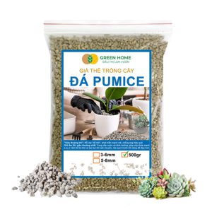 Đá Pumice, Đất Trồng Sen Đá, Giá Thể Trồng Cây, Lót Chậu, Nhiều Khoáng Chất, Thoát Nước Tốt
