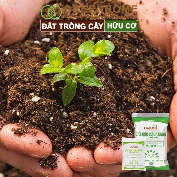Đất trồng cây Lavamix, hữu cơ trồng rau, hoa, kiểng, tiện lợi, dễ sử dụng,  |Greenhome