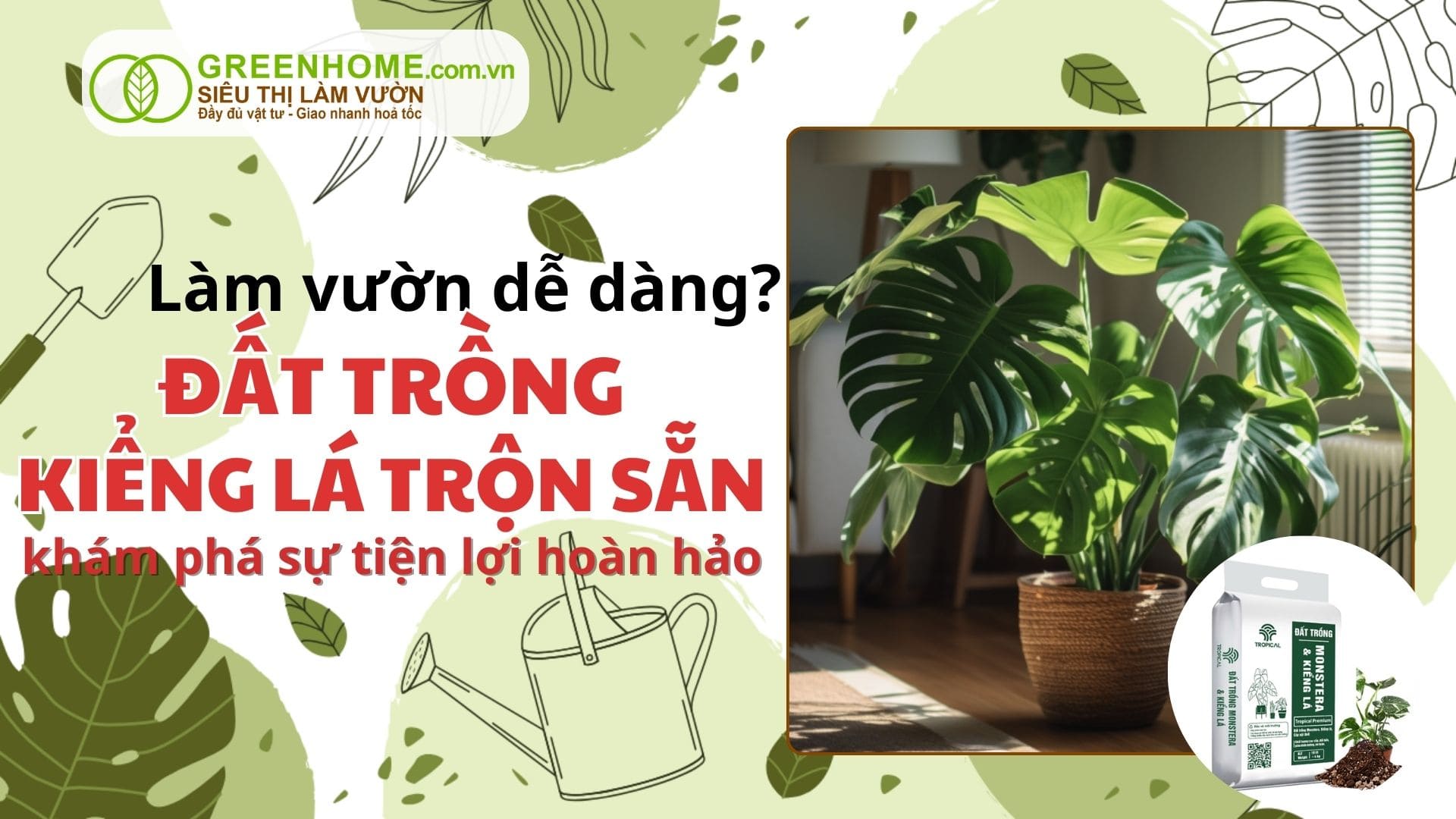 Đất Trồng Kiểng Lá Trộn Sẵn: Khám Phá Sự Tiện Lợi Hoàn Hảo