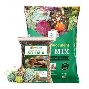 Đất Trồng Sen Đá Greenhome, Soil Mix, Bao 6kg, Trộn Sẵn, 85% Đá Khoáng, Phát Rễ Nhanh, Lên Màu Nhanh, Thoát Nước Tốt