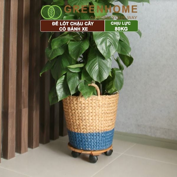 Đế lót chậu cây có bánh xe, R30xC8cm, bằng gỗ, nhiều mẫu, thân thiện môi trường, tiện lợi, chịu lực 80kg |Greenhome
