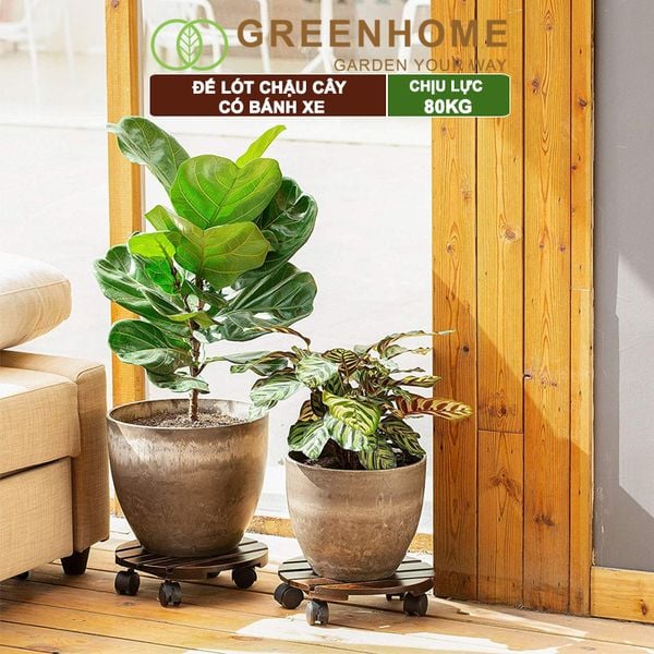 Đế lót chậu cây có bánh xe, R30xC8cm, bằng gỗ, nhiều mẫu, thân thiện môi trường, tiện lợi, chịu lực 80kg |Greenhome