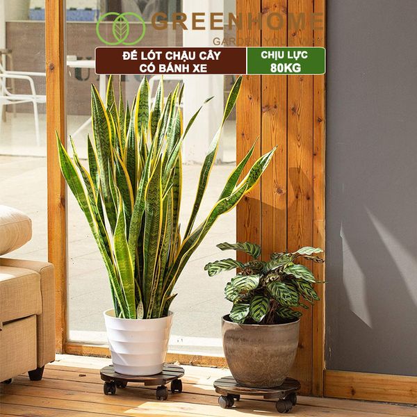 Đế lót chậu cây có bánh xe, R30xC8cm, bằng gỗ, nhiều mẫu, thân thiện môi trường, tiện lợi, chịu lực 80kg |Greenhome