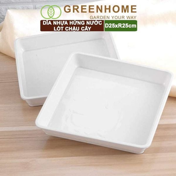 Dĩa nhựa lót chậu cây, R25cm, nhựa nguyên sinh, bền, đẹp, nhiều hình dạng lựa chọn | Greenhome