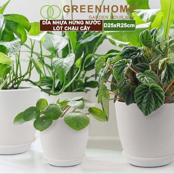 Dĩa nhựa lót chậu cây, R25cm, nhựa nguyên sinh, bền, đẹp, nhiều hình dạng lựa chọn | Greenhome