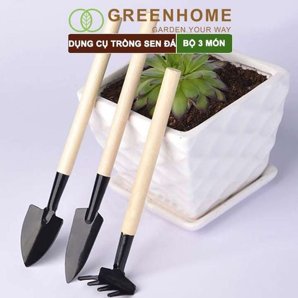 Dụng cụ làm vườn mini, 3 món, tiện lợi, chuyên dụng trồng sen đá, cán gỗ |Greenhome