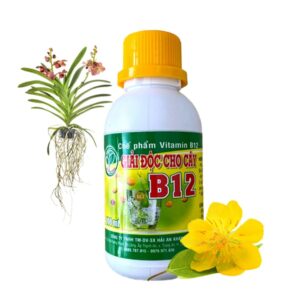 Chế Phẩm Vitamin B12 , Chai 100ml, Chống Sốc, Phục Hồi Giải Độc Cho Lan, Cây Cảnh Khi Bị Bón Phân Quá Liều