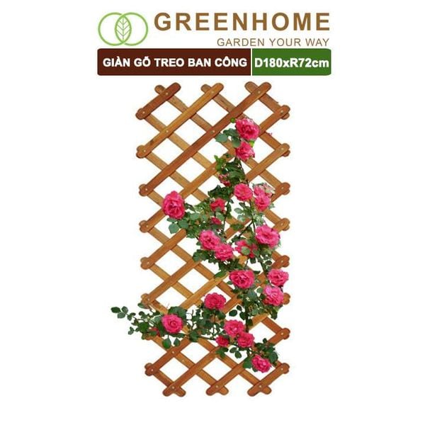 Giàn gỗ treo ban công, R72xC180cm, gỗ tràm siêu bền, co giản được, làm khung hoa hồng leo, bông giấy |Greenhome