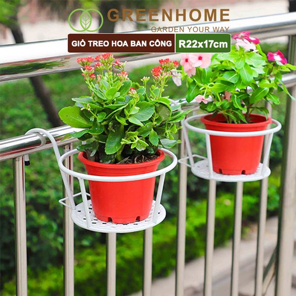 Giỏ treo hoa ban công, D22xC18cm, chất liệu sắt sơn tĩnh điện, phù hợp với mọi lan can, nhiều màu để lựa chọn |Greenhome