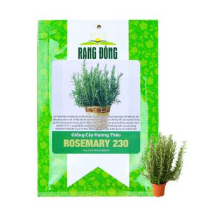 Hạt Giống Cây Hương Thảo, Rosemary, Gói 0,03gr, Dễ Trồng, Thu Hoạch Quanh Năm G06