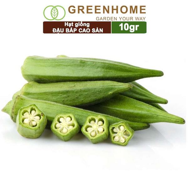 Hạt giống Đậu Bắp