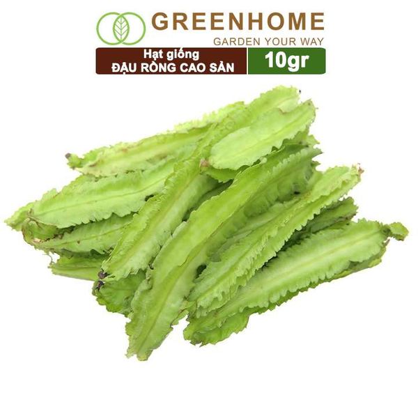 Hạt giống Đậu Rồng
