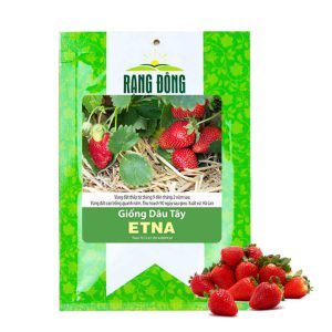 Hạt Giống Dâu Tây Đỏ, Gói 0.05gr, Chịu Nhiệt, Quả To, Dễ Trồng, Năng Suất Cao T17