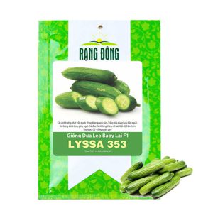 Hạt Giống Dưa Leo Baby, Gói 5 Hạt, Trái Suôn Dạng Chùm Giòn Ngọt, Dễ Trồng Quanh Năm, Năng Suất Cao T01