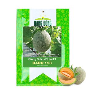 Hạt Giống Dưa Lưới Ruột Vàng, Gói 10 Hạt, Dễ Trồng Quanh Năm, Nảy Mầm Cao, Thu Hoạch Nhanh, Năng Suất Cao T14