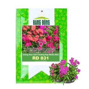 Hạt Giống Hoa Cẩm Chướng, Gói 0.1gr, Sai Hoa, Màu Rực Rỡ, Dễ Trồng Quanh Năm, Nảy Mầm Cao H07