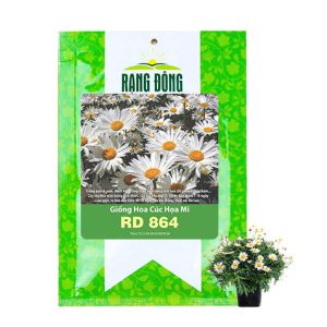 Hạt Giống Cúc Hoạ Mi, Gói 0.03gr, Dễ Trồng Quanh Năm, Hoa Trắng, Nhuỵ Vàng H04